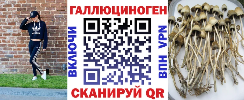 Галлюциногенные грибы GOLDEN TEACHER  Купить закладки  Чулым 
